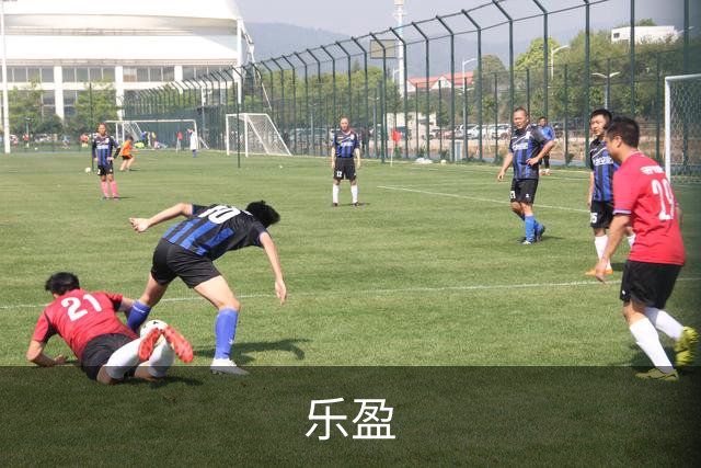 乐盈公司简介展示图